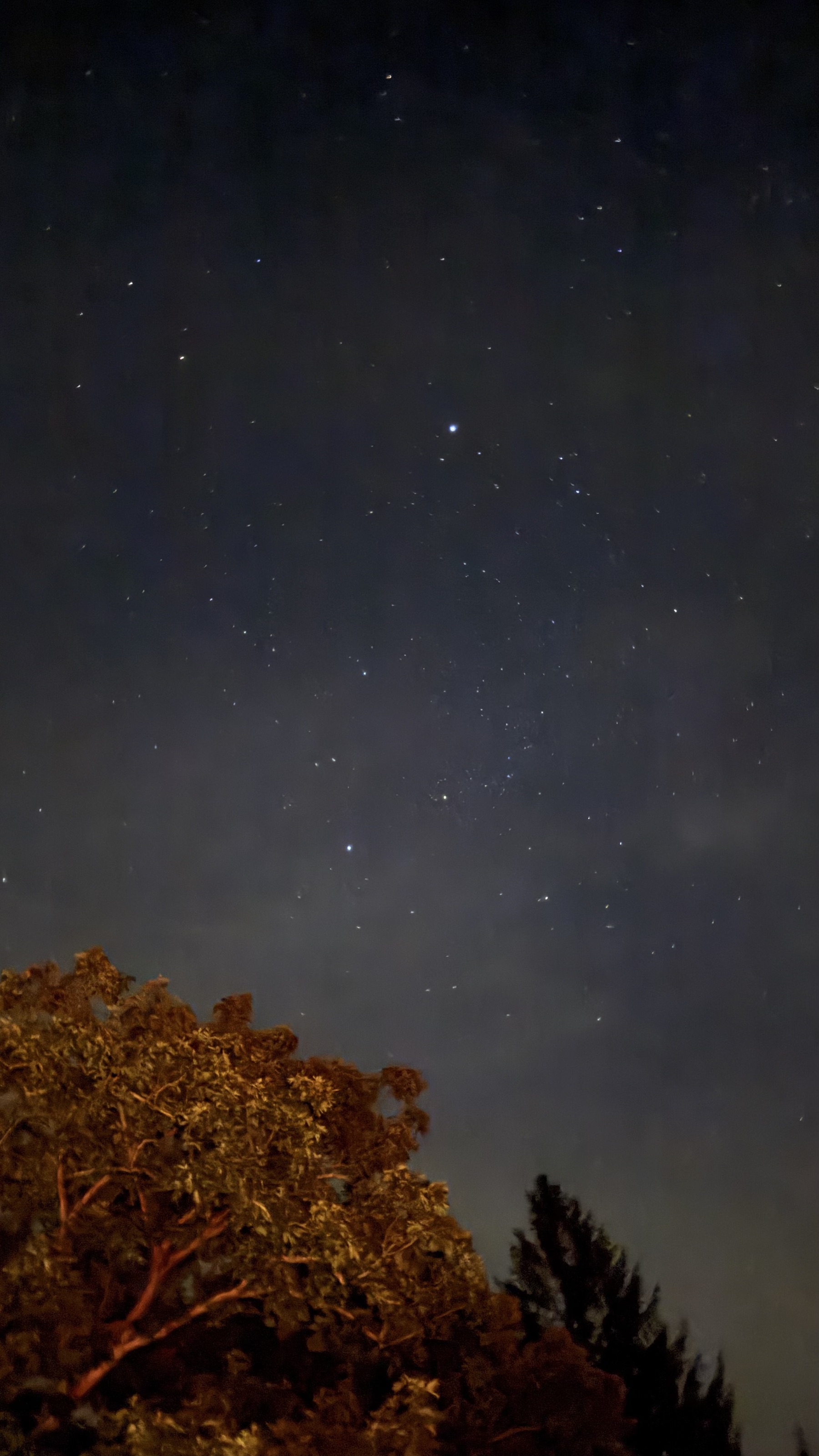 Night sky above the cabin